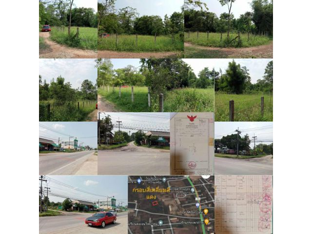 ขายที่ดิน มีโฉนด ราคาถูก 259,000 เท่านั้น ภูกามยาว พะเยา