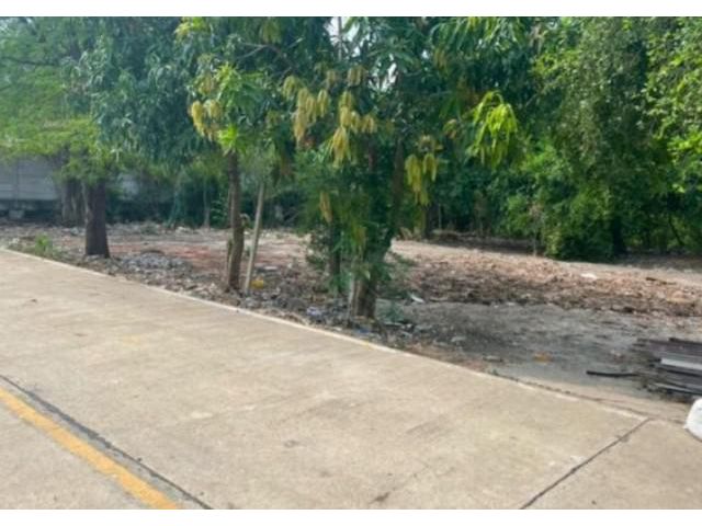 ขายที่ดิน 166 ตรว อ.บางคูวัด ปทุมธานี ทำธุรกิจได้