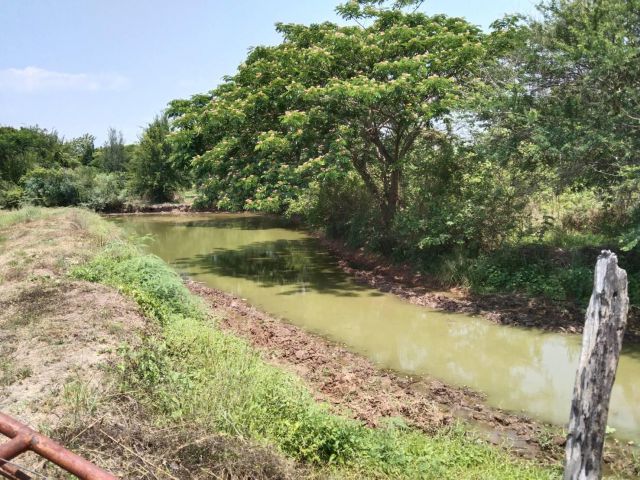 ขายที่ดิน วิวสวยจากธรรมชาติสร้าง ขึ้น ติดถนน 2 ด้าน อำเภอสันกำแพง จังหวัดเชียงใหม่