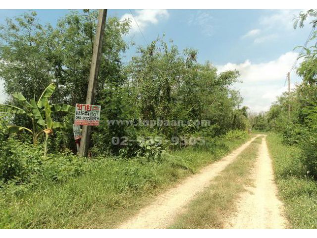 ขายที่ดิน ถนนเลียบคลองซอยที่ 6 ตะวันตก คลองหก ถนนรังสิตนครนายก คลองหลวง ปทุมธานี