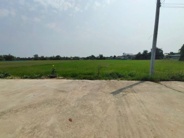 ที่ดิน ท่ารั่ว สันปูเลย ดอยสะเก็ด ติดถนนคอนกรีต น้ำไฟถึง  เนื้อ 17 ไร่. ขายตรว.ละ 7,500 บาท  ใกล้ บ้านหมู่บ้านกาญกนก