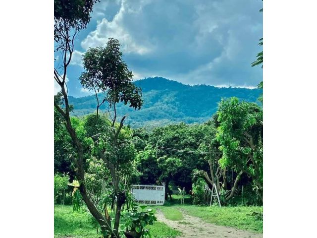 #ขายที่ดินแปลงสวยราคาถูกทำเลทอง 6 ไร่ ที่ดินแปลงสวย​เชิงดอยสุเทพ ห่างประตูทางเข้ามหาวิทยาลัยเชียงใหม่เพียง​ 1​ กิโล