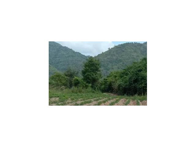ขายที่ดินเกษตร ใบ ภบท 5 ดินดี นํ้าดี รวม 3,000-4,000+ ไร่