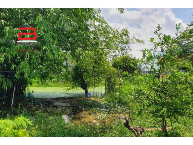 ที่ดินเปล่า ซอยสุวินทวงศ์ 7 แยก 1/1 เนื้อที่ 119 ตรว. ถนนสุวินทวงศ์ เขตมีนบุรี