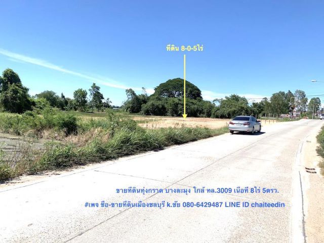 @@@ขายที่ดินทุ่งกราด บางละมุง เนื้อที่ 8ไร่ ใกล้ถนนตัดใหม่ ทล.3009 ห่างจากท่าเรือแหลมฉบัง 3กม. ##