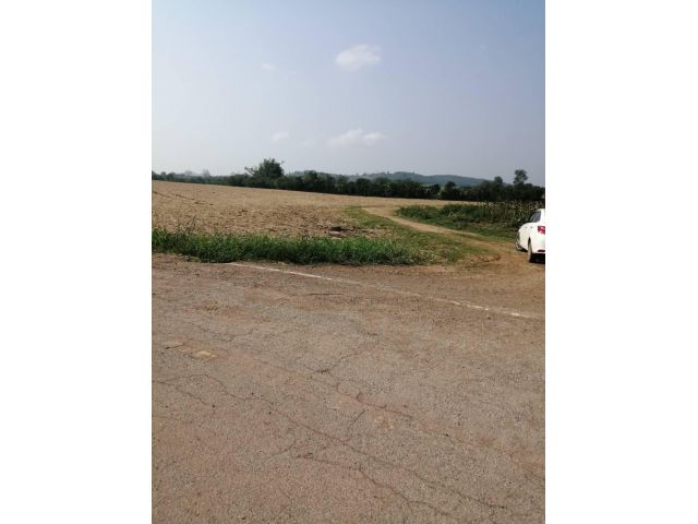 ขายที่ดินติดคลองวิวเขา ตำบลคลองม่วง อำเภอปากช่อง จังหวัดนครราชสีมา 41-0-18 ไร่