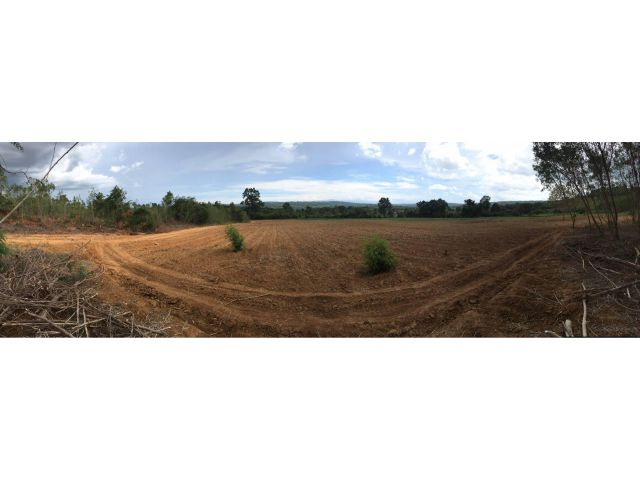 ขายที่ดินตำบลลำเพียก อำเภอครบุรี จังหวัดนครราชสีมา 40-3-0 ไร่