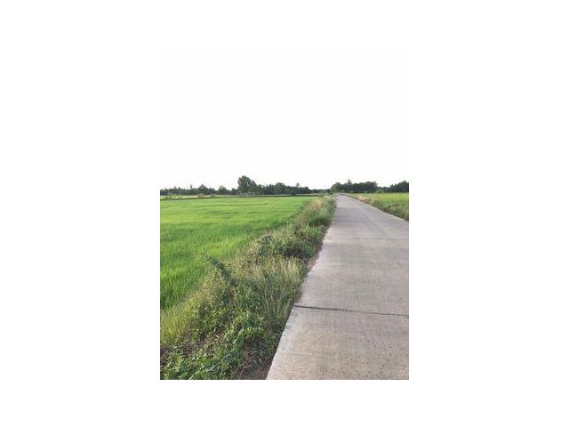ขายที่ดินตำบลพลับพลา อำเภอโชคชัย จังหวัดนครราชสีมา 2 ไร่ เอกสารโฉนด