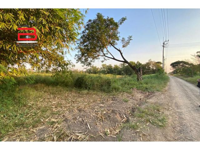 ที่ดินเปล่า คลองห้า-หนองเสือ เนื้อที่ 2 ไร่ ถนนมอเตอร์เวย์ อ.คลองหลวง จ.ปทุมธานี