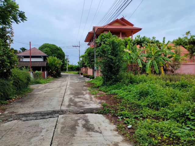 ขายที่ดิน 201 ตรว.  ติดถนนคอนกรีต2ด้าน น้ำไฟพร้อม ในชุมชน ต.สันเป่าเปา อ.สันทราย  ห่างเช็นทรัลเฟส 13 นาที  ห้างโฮมโปร