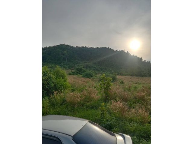 ที่ดินสวยวิวภูเขา ถูกมากกก "ไร่ละแสน" โฉนดครุฑแดง ต.ผาจุก จ.อุตรดิตถ์ 12-1-96 ไร่