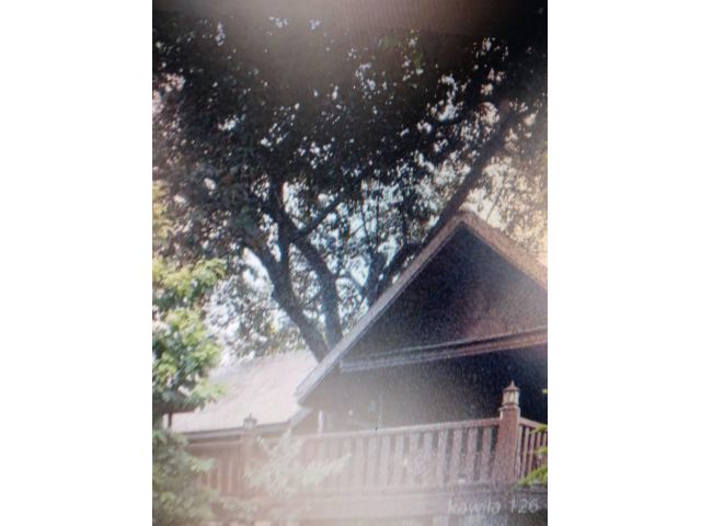 ให้เช่าที่พักสไตล์รีสอร์ทบูทีส สวนขนาดใหญ่ ร่มรื่นมากๆ ใกล้แม่น้ำปิง