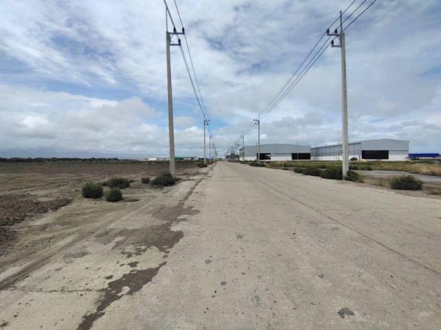 L71 ขายที่ดินสร้างโรงงาน ราคาถูก 3 ไร่ 5 ไร่ 10 ไร่ 15 ไร่ 20 ไร่ ถมแล้ว ขอ รง.4 ได้ พระราม 2 สมุทรสาคร