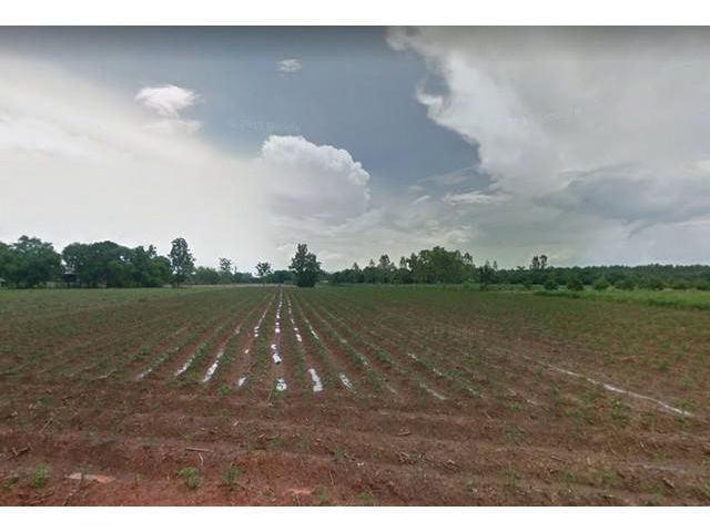 ที่ดินแบ่งขายเกาะขนุน 105 ตรว. ราคาถูกใกล้ถนนเส้น 331 - 2 กม. จ.ฉะเชิงเทรา
