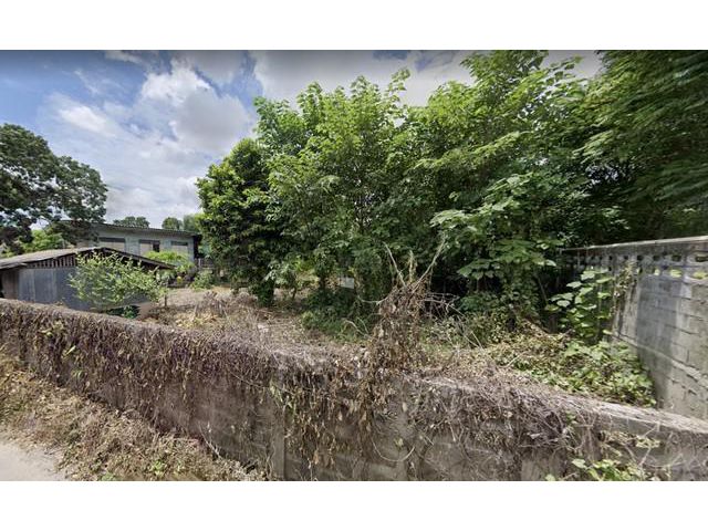 ขายที่ ดินเปล่าทำเลดีใกล้ถนนคนเดิน ขนาด 5 ไร่