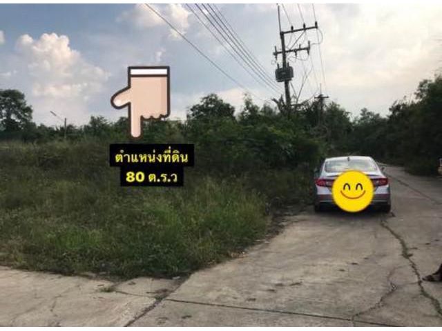 ที่ดินด่วน คลอง 8 ธัญบุรี  เนื้อที่ 80 ตารางวา