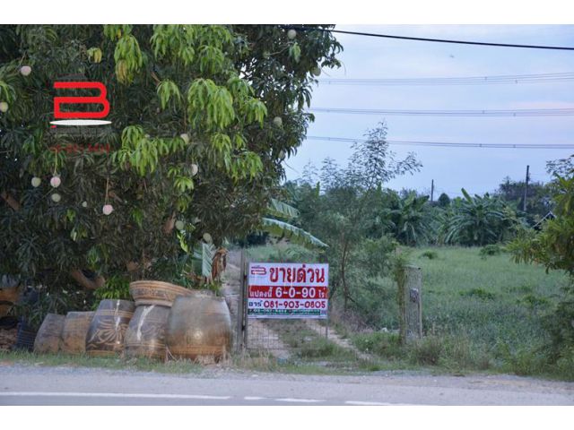ที่ดินเปล่า ทางหลวงชนบท 5010 เนื้อที่ 6-0-90 ไร่ ถนนบางกรวย-ไทรน้อย อ.ไทรน้อย จ.นนทบุรี
