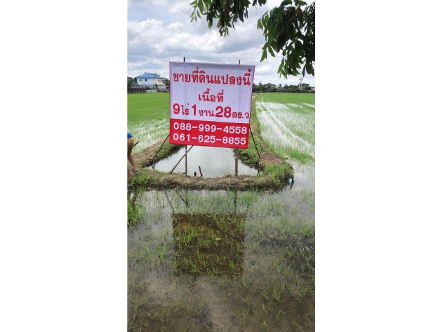 Agent post ขายที่ดิน 9 ไร่  1  งาน  28 ตารางวา ติดถนนคลองโยง