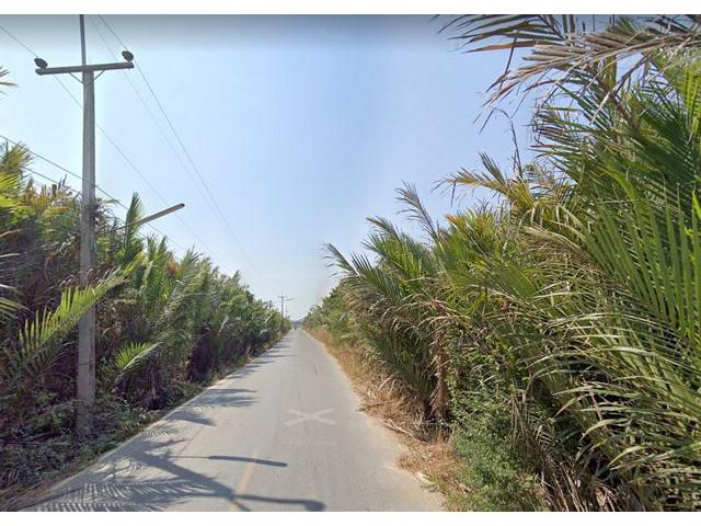 ขายที่ดินบางผึ้ง บางปะกง 10 ไร่ ติดถนนลาดยาง 2 ด้าน ใกล้ถนนมอเตอร์เวย์ 7 - 8 กม. ฉะเชิงเทรา