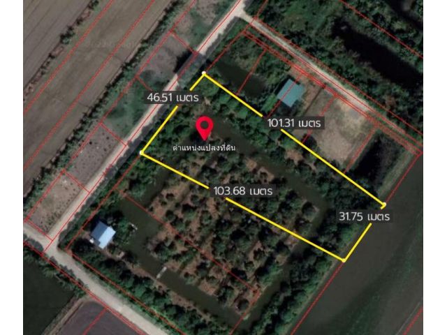 ให้แจ้งรหัส KRE-Z2-0064 ขายที่ดิน ขุนศรี ไทรน้อย นนทบุรี
