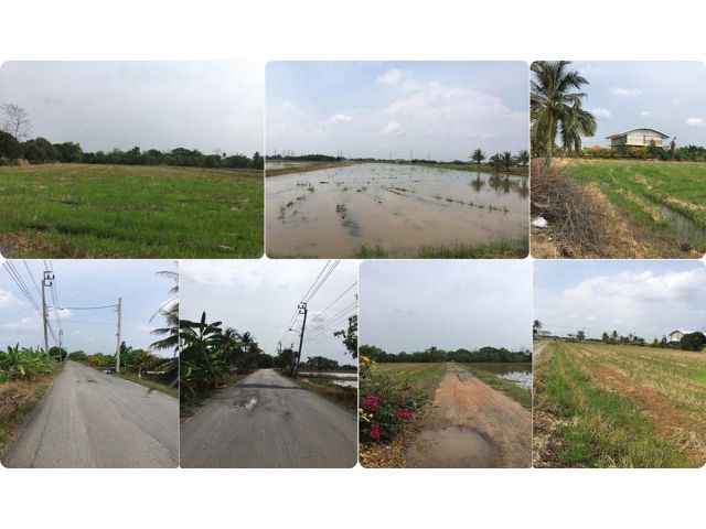 ขายที่ดิน เนื้อที่ 26 ไร่ คลองสิบสอง หนองจอก
