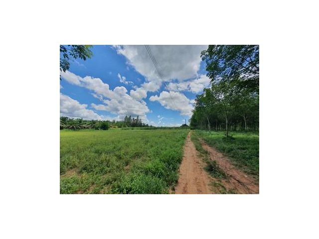 ขายที่ดิน 102-0-98 ไร่  ต.หนองเสือช้าง จ.ชลบุรี