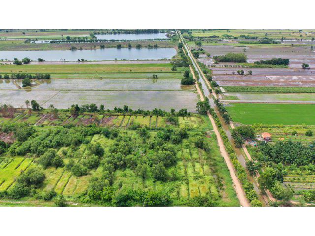ที่ดินหนองเสือ ถนนเลียบคลอง7 (ถนน 3007) ใกล้สถานีไฟฟ้าแรงสูงวังน้อย ต.บึงชำอ้อ อ.หนองเสือ ปทุมธานี