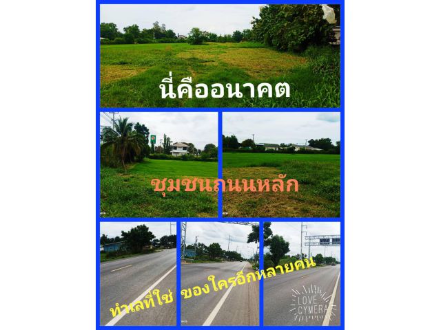 วิถีการทำมาหากิน ทัวร์ลงที่ตรงนี้ เป็นมากกว่าที่ดิน แปลงโปรดประโยชน์เยอะ เสนอทั้งทีต้องเอาแปลงดีๆมาฝาก