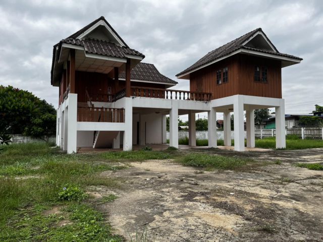 บ้านให้เช่า  2 ชั้น  มี 5 ห้องนอน 2 ห้องน้ำ เนื้อที่ 1 ไร่
