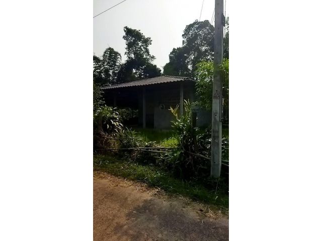 ขายที่ดิน