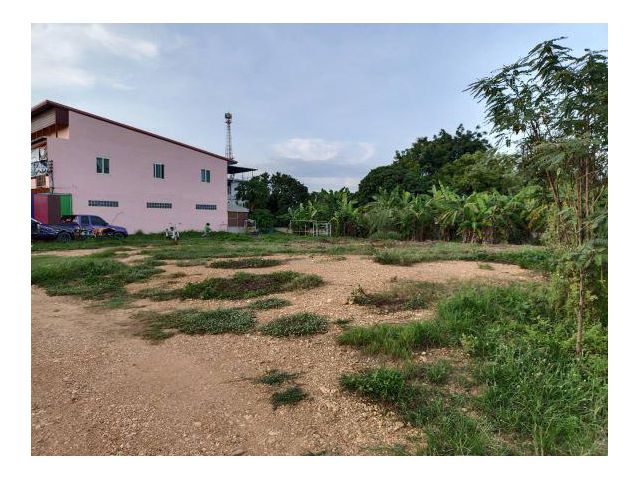 ขายด่วน!!! ที่ดิน+อาคารพาณิชย์  อ.ท่าวังผา จ.น่าน