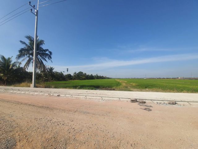 ขายที่ดินหมอนทอง 34 ไร่ คลอง18 ใกล้สถานีรถไฟบางน้ำเปรี้ยว 5 กม. บางน้ำเปรี้ยว ฉะเชิงเทรา