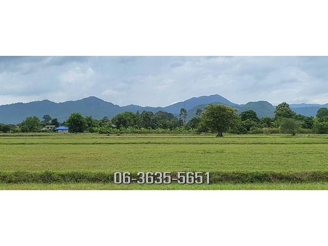 ขายที่สวยเห็นวิวเขาวิวเปิด ต.พรหมณี อ.เมืองนครนายก