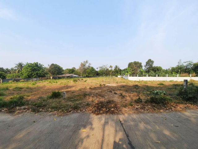 ที่ดินแบ่งขายหนองแหน ถมแล้ว 67 ตรว. ใกล้ถนน 331 - 6 กม. พนมสารคาม ฉะเชิงเทรา