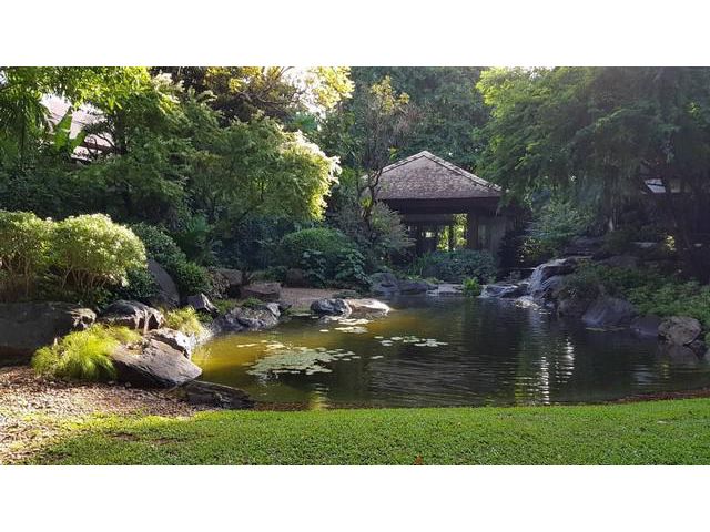 ขายเดี่ยวสไตล์รีสอร์ทผลงานการจัดสวนอันทรงคุณค่า