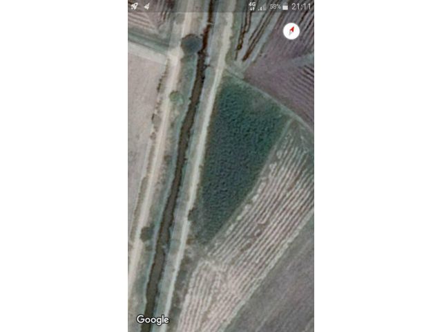 ขายที่ดินจำนวน2ไร่1งาน67 ตารางวา ที่สวนต้นยูคาต้นกระดาษ ใกล้ อบต.ตำบล ยางซ้าย อำเภอ โพธิ์ทอง อ่างทอง