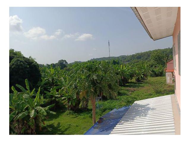 ขายด่วน!!! ที่ดิน+อาคารพาณิชย์  อ.ท่าวังผา จ.น่าน