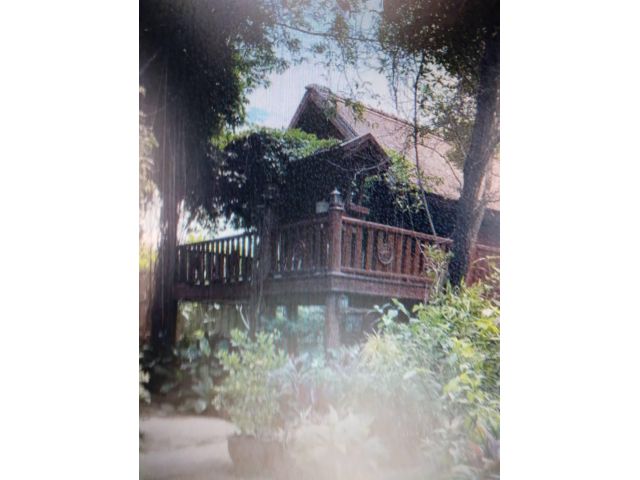 Villa Chiang Mai Room for long term rental Resort by the Ping River Modern Lanna style building