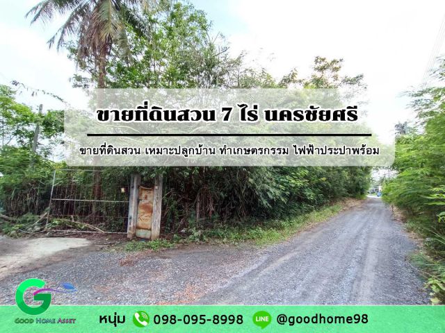 ขายที่ดิน นครชัยศรี แปลงสวย ซอยหลังวัดลานแหลม 7 ไร่ เหมาะปลูกบ้านอยู่อาศัย ทำเกษตรกรรม