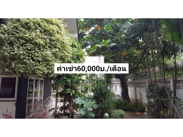 ให้เช่าบ้านเดี่ยว2ชั้น ลาดพร้าว15