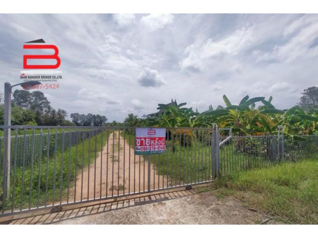 ที่ดิน+บ้าน ใกล้ต้นตาลรีสอร์ท เนื้อที่ 8-2-71 ไร่ ถนนเพชรเกษม อ.ท่ายาง จ.เพชรบุรี