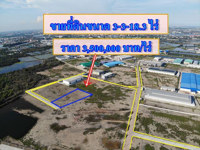 S331 ขายที่ดิน 3-3-18.3 ไร่ ใกล้ถนนพระราม 2 พร้อมถมแล้ว  ขายที่ดินสมุทรสาคร