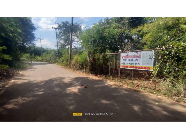 ขายที่ดิน ปากช่อง หนองน้ำแดง ซ.วัดไทยเดิม 9ไร่ 3งาน 28ตร.ว. นส.3ก. เจ้าของขายเอง สนใจโทร 089 459 0500