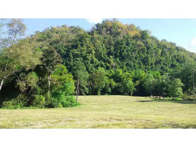 ขายที่ดินวิวภูเขา ต.หมูสี อ.ปากช่อง โคราช 26ไร่เศษ
