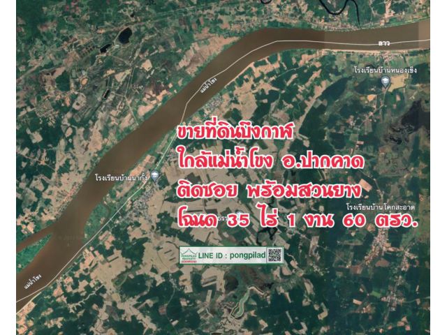 > ขายที่ดินบึงกาฬ ใกล้แม่น้ำโขง โฉนด 35 ไร่ 1 งาน 60 ตรว. ติดซอย พร้อมสวนยาง