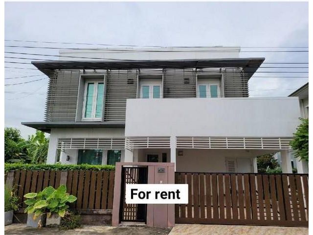 ให้เช่าบ้านเดี่ยว เดอะ แพลนท์ เอสทีค พัฒนาการ 38