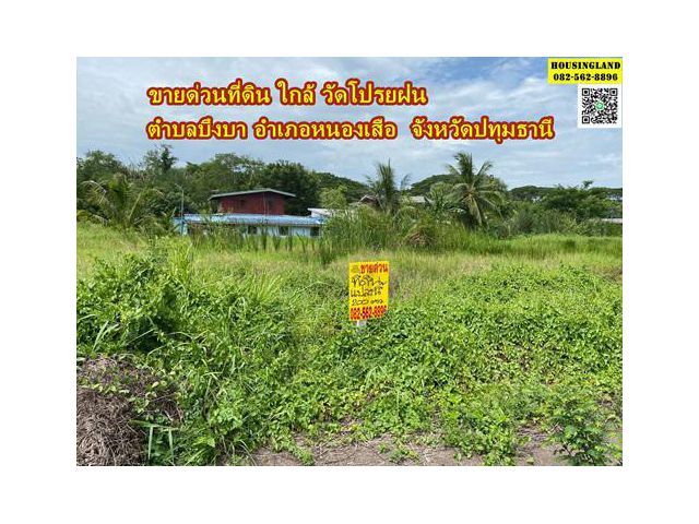 ขายด่วนที่ดินใกล้วัดโปรยฝน คลอง11 ตำบลบึงบา อำเภอหนองเสือ จังหวัดปทุมธานี