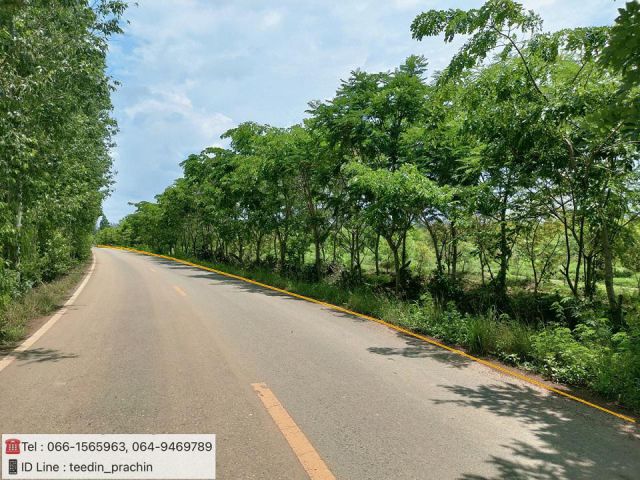 ขายที่ดินแปลงใหญ่ เป็นที่สวนป่า ที่รีสอร์ท เป็น ที่ในเขตนิคม 304 ติดถนนลาดยางหน้ากว้าง 600  กว่าเมตร เนื้อที่กว่า 118 ไร