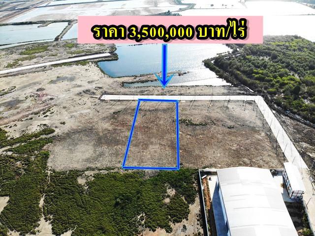 S332 ขายที่ดินสร้างโรงงาน ถมแล้ว ที่ดินใกล้ถนนพระราม2 ขนาด 3-1-20 ไร่ สมุทรสาคร
