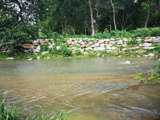 ขายที่ดิน 32 ไร่ ติดถนนธนะรัชต์  ได้ทั้งน้ำลำตะคอง ภูเขา ต้นไม้ใหญ่ หาไม่ได้อีกแล้ว ราคาไร่ละ 15 ล้านบาท